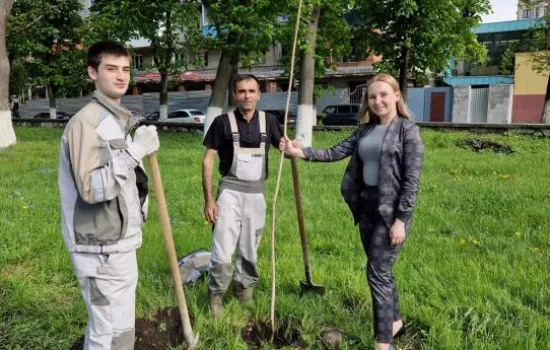 Ценный подарок для людей – пробковое дерево